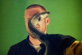 Eel Slap