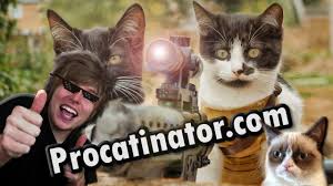 Procatinator